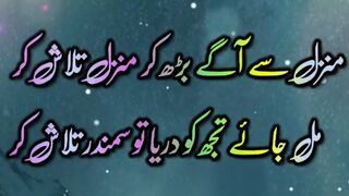 Most Amazing alama iqbal Urdu Quotes #youtubeshorts #youtube #ytshorts #TSeriesislamic
