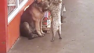 give them your love.