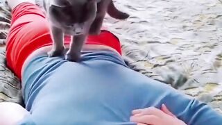 Magical Cat Massage ????