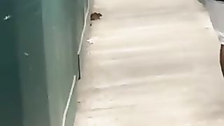 Funny mouse????????