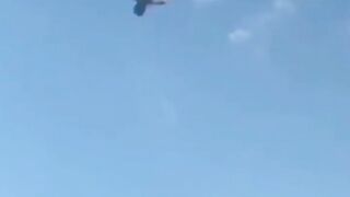 Funny video