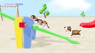 Adventures of cat and dog on the playground