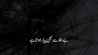 Kaifi khalil song