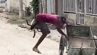 Funny Clip