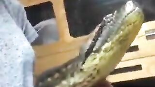 Nice video