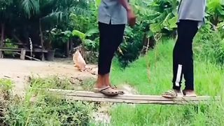 Funny video .