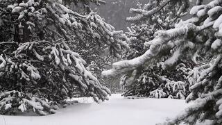 snow falling scene with original sound
