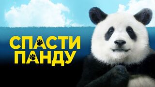 Спасти панду