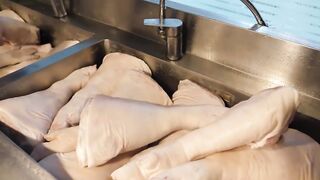 Braised Pig's Trotters