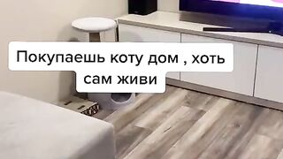 Кот живёт в пакете :))))