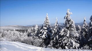 Успокаивающая музыка. Зимняя природа. Релакс.