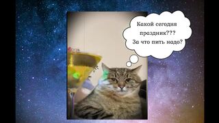 Все видали котов без улыбок...