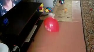 Balloon bursts and rabbit takes a huge scare