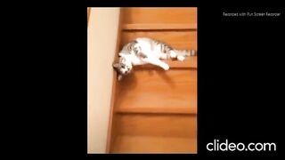 Спуск  с лестницы     descent from the stairs