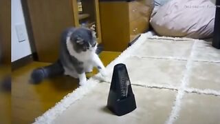 Медитация    Meditation