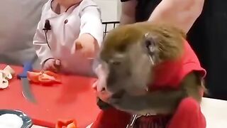 Когда готовим с младшим братом