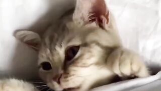 Озвучка топ