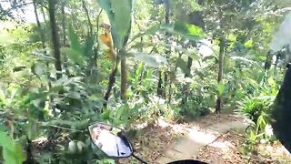 Keindahan Banyuwana Amertha Waterfall Bali