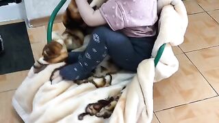 Доча первый раз увидела санки