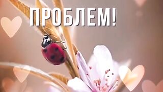 Пожелание...