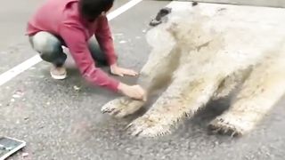 Respect 100% #shorts #respect #amazing #short
