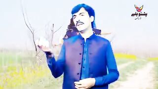 Pashto dins