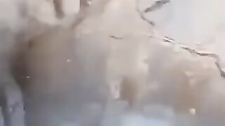 Amazing