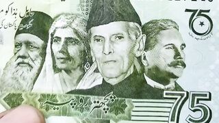Funt Qaid