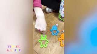 Fidget TikTok Compilation