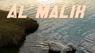 Al Malik| Asma ul Husna with English translation| attribute name of Allah| Audio books