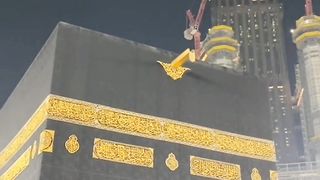 Islamic status