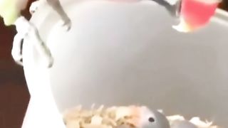 ????????????????