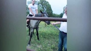 Very funny videos | world4you