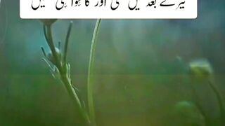 Deep Lines | New WhatsApp Status Deeplines poetry Urdu Shayari