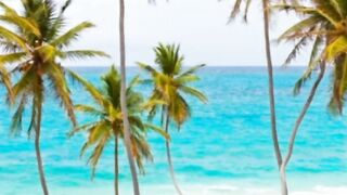 Beautiful Beaches