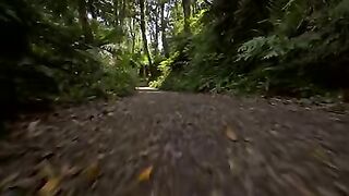 Jungle