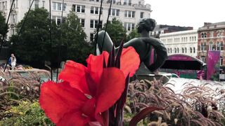 Flower Show Birmingham City Centre UK