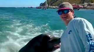 These animals just took a dig at humans!
