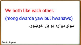 English to Pashto sentences lesson 222 | learn pashto language | english to pashto learning
