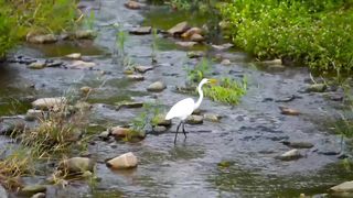 Nature amazing scenery video, relaxation and stress relief music