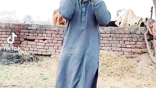 Funnyshort tiktok video