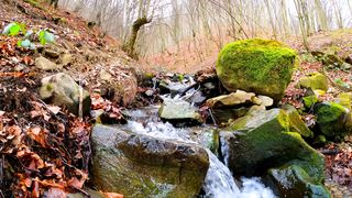 Waterfalls