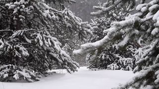 Beautiful Nature