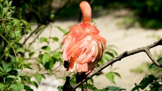 #Beautiful bird in the world #febspot#