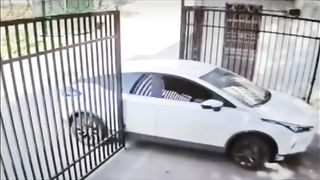 Women car driving