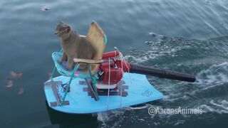 Homemade Jet Ski - Aarons Animals.