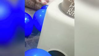 Birthday
