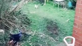 Funny video | comedy video | new comedy video