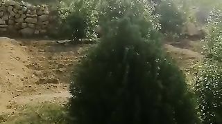 Peace full Nature