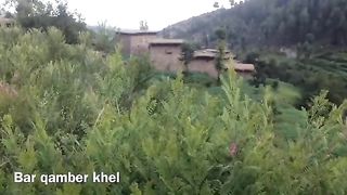 Wadi teerha Afridi